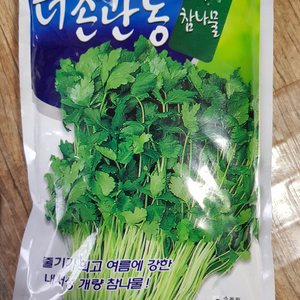 관동 참나물 종자 (씨앗) 500g 판매