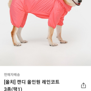 올치 캔디 올인원 레인코트