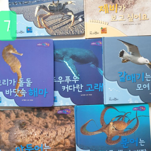 반값택배무료배송)유아도서 7권