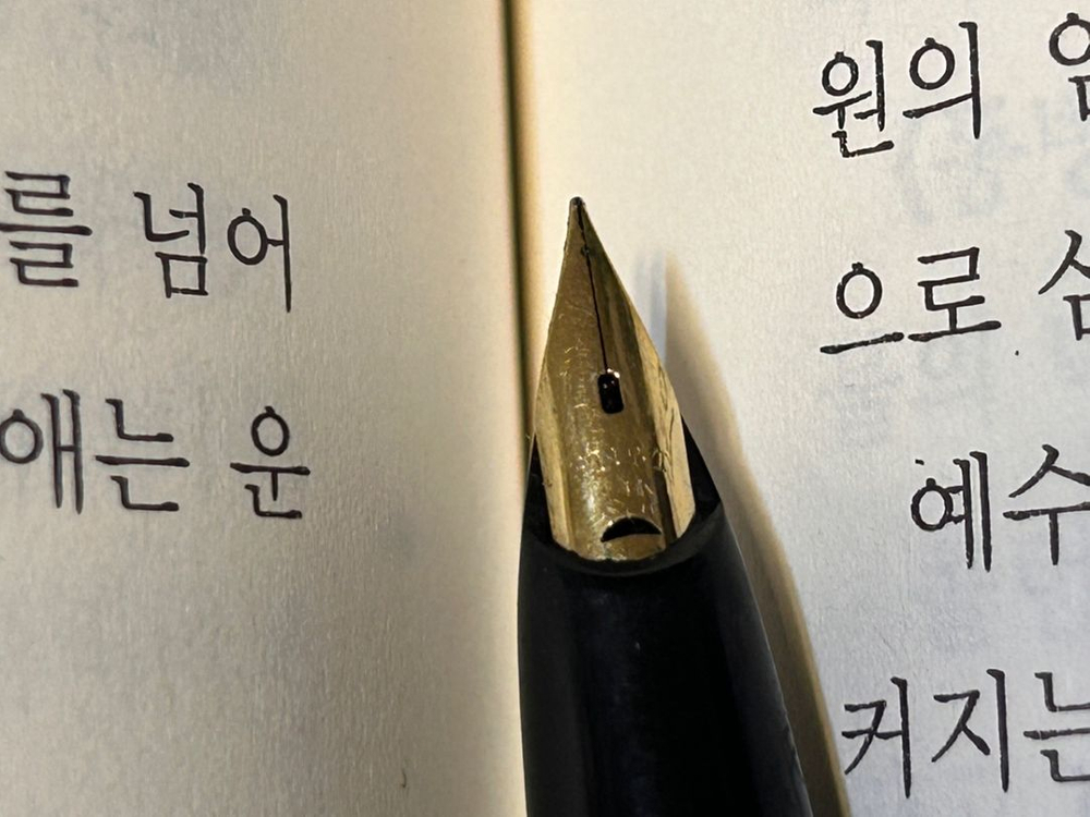 (빈티지) 1970년대 파이롯트 만년필 - EF 촉 이미지