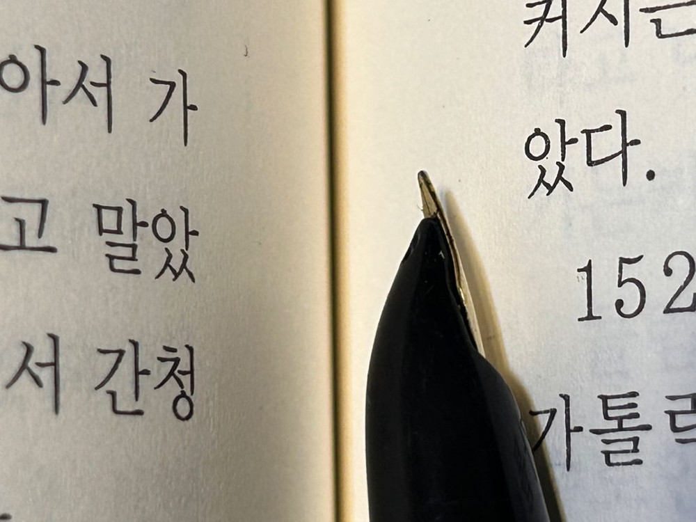 (빈티지) 1970년대 파이롯트 만년필 - EF 촉 이미지