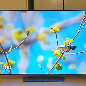 LG 65인치 OLED TV 판매합니다