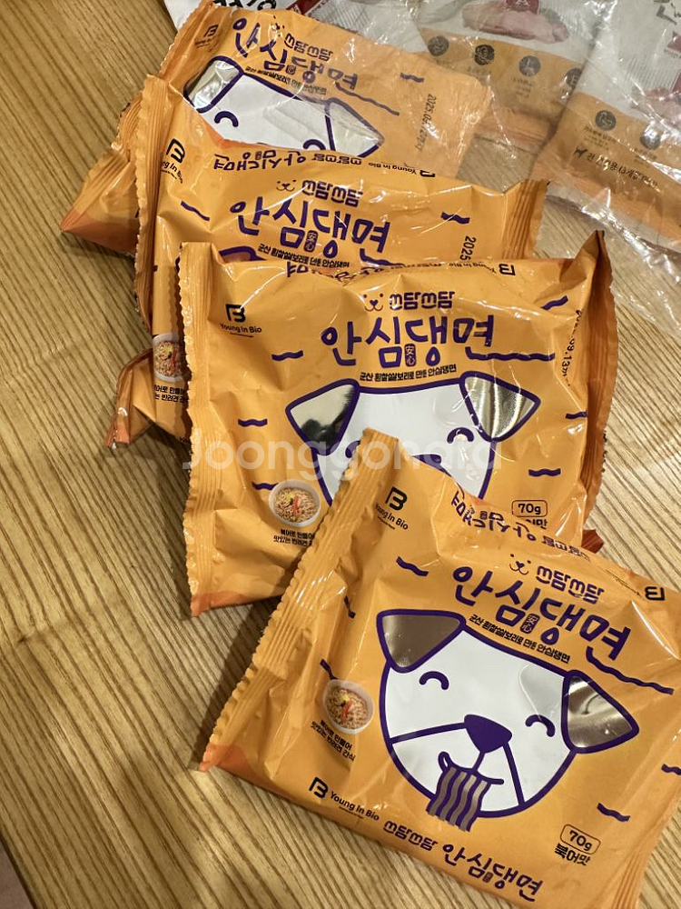 강아지--5