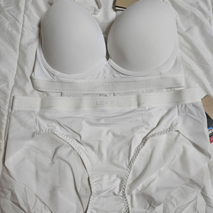 리바이스 속옷 set