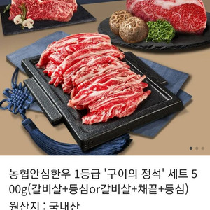 농협안심한우 1등급 구이의 정석 세트 500g(갈비살+