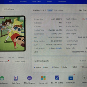 아이패드프로6세대12.9 128 셀룰러 스그+애플펜슬