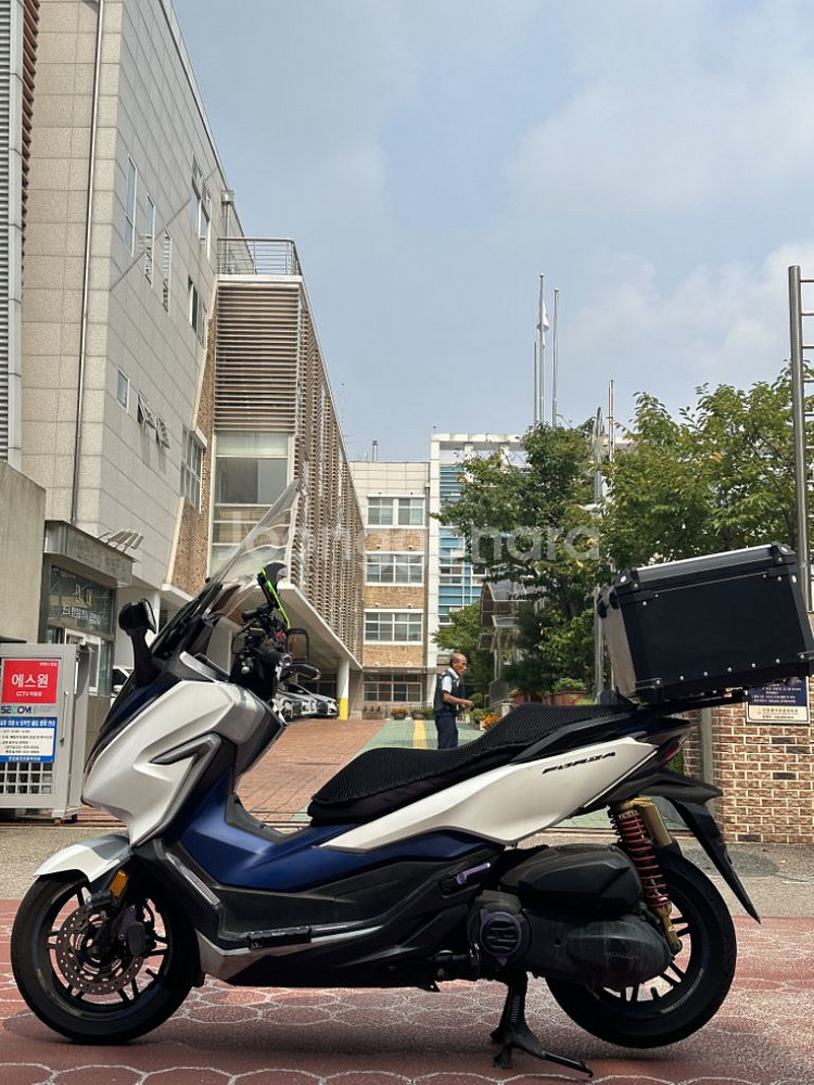 포르자300 20년식 판매합니다~~--1