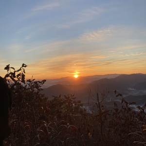 에어팟 프로 1구해요