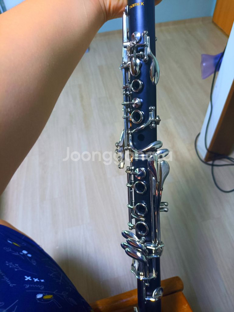 클라리넷--2