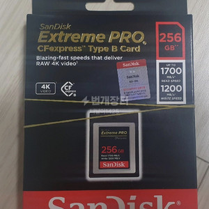 샌디스크 CFexpress Extreme Pro 256