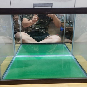어항 2종 일괄