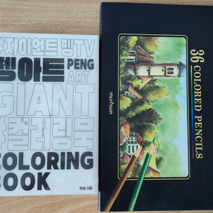 펭수 펭아트 컬러링북+색연필