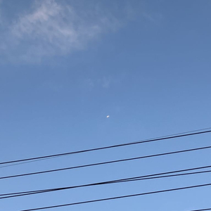 주말까지 구해요) 바이무드 히어 코튼팬츠 베이지