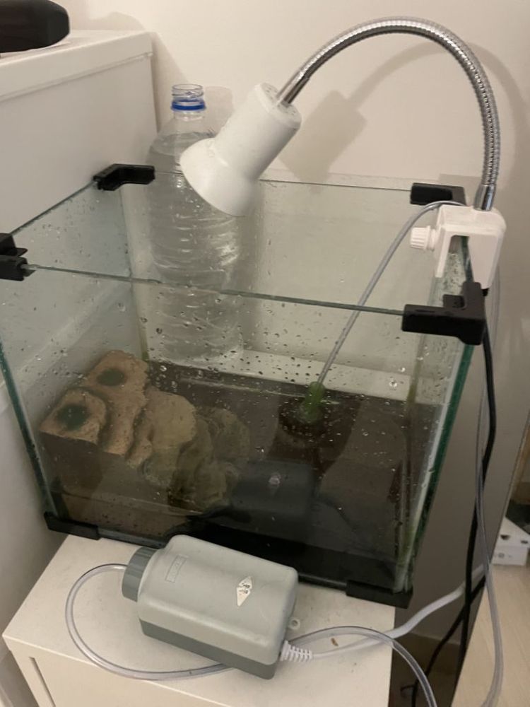 핑크밸리 사이드넥 수조세트 분양 이미지