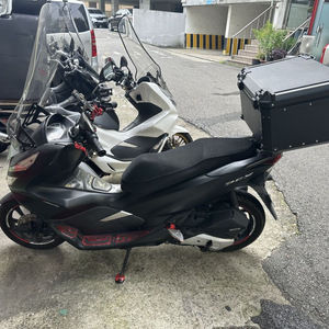 pcx19년식