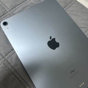 apple ipad air 4세대 스카이블루