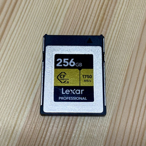 렉사 프로페셔널 CFexpress 256GB