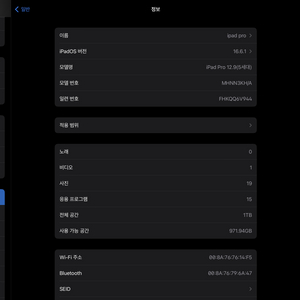 아이패드 프로 12.9인치 5세대 1TB wifi