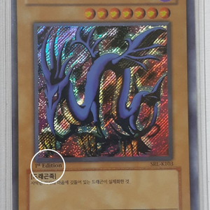 유희왕 이블 나이트 드래곤 1st Edition 삽니다