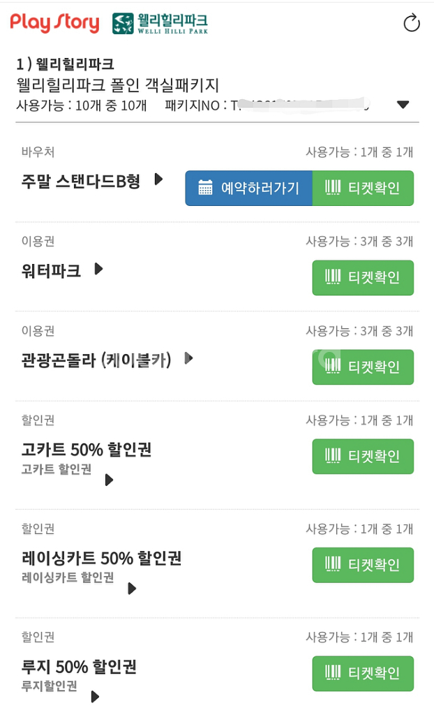 월리힐리파크 폴인 주말 3인 패키지--4