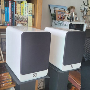 Q ACOUSTICS CONCEPT 20 화이트 스피커