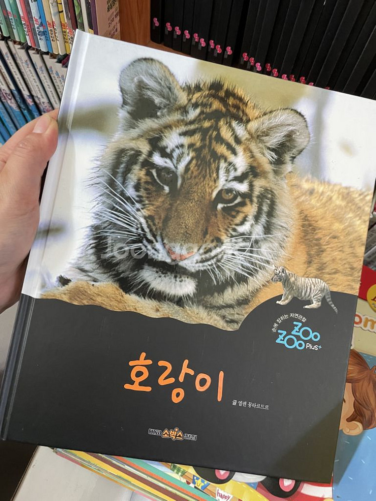 대교소빅스 주주플러스 전집 전권--1