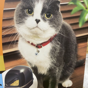 새상품 고양이 화장실 후드형 가오 냥토모 시스템 화장실