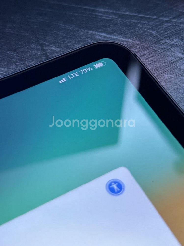 아이패드 프로 11인치 1세대 셀룰러 256GB--2