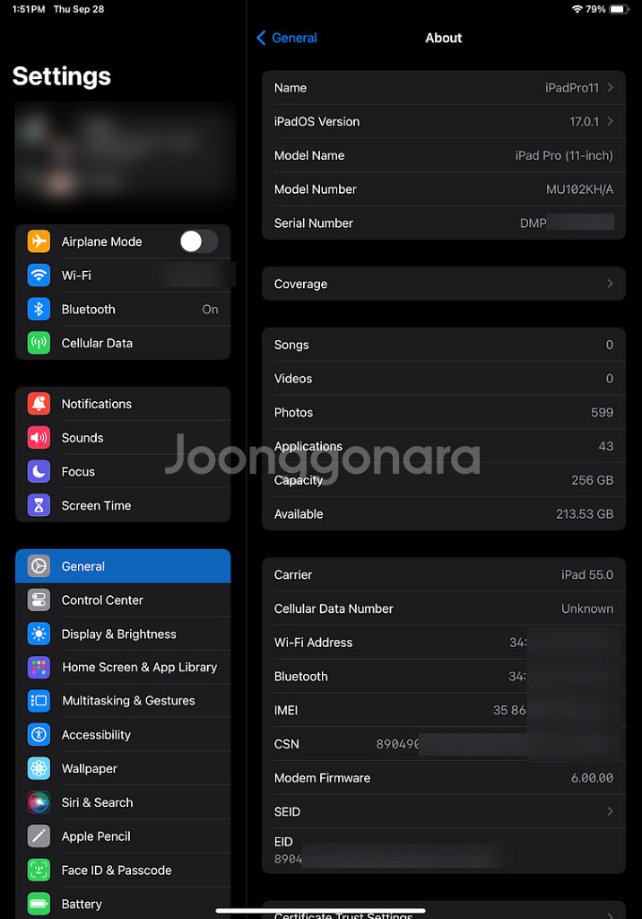 아이패드 프로 11인치 1세대 셀룰러 256GB--1
