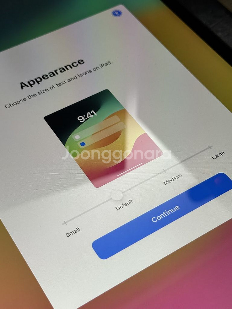 아이패드 프로 11인치 1세대 셀룰러 256GB--3