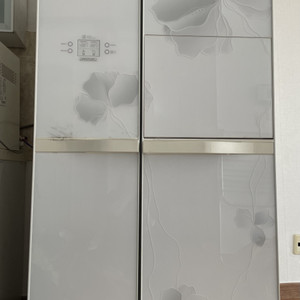 엘지 양문형 냉장고