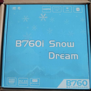 JGINYUE B760I SNOW DREAM 메인보드