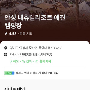 경기 안성 내추럴 리조트 애견 캠핑장 오늘부터 2박
