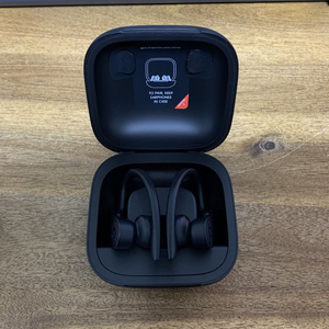 파워비츠 프로 이어버드 Powerbeats Pro