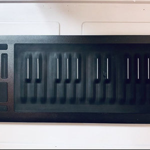 ROLI SEABOARD RISE 25 롤리씨보드라이즈