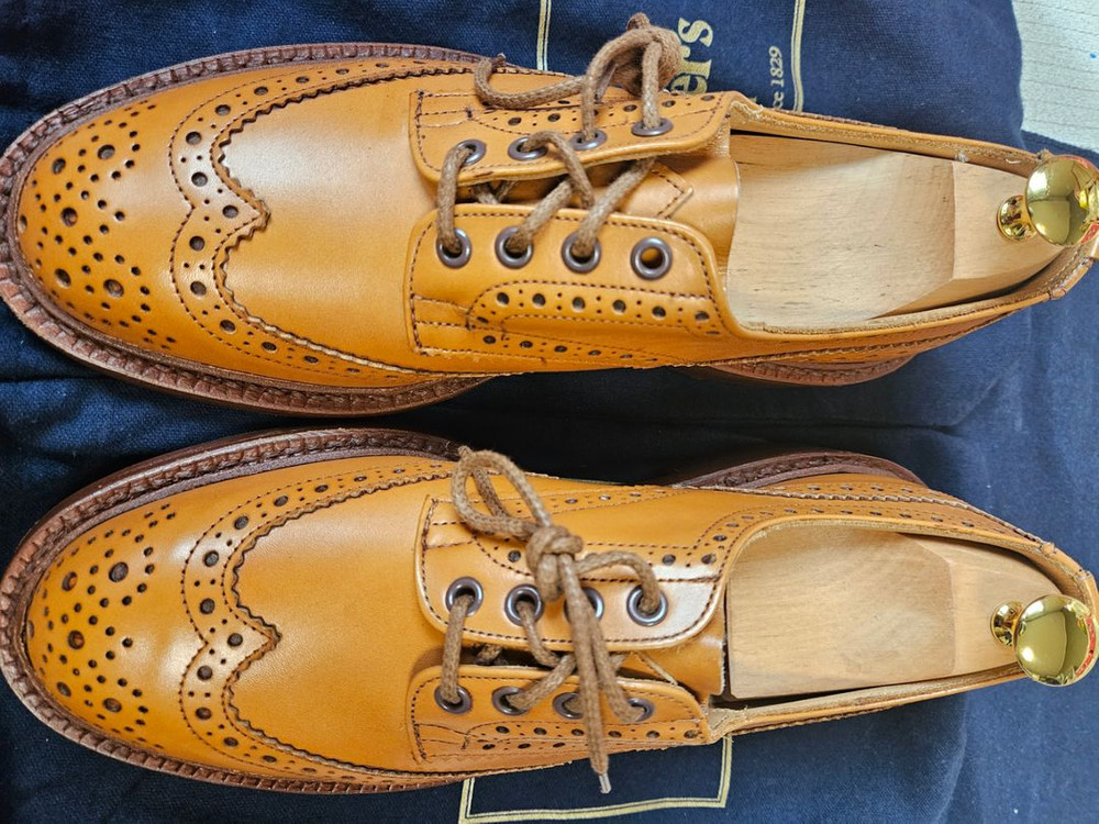 트리커즈 부통 아콘 새 상품 265~270--4