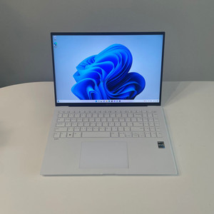 LG그램 i5 13세대 16GB 256GB 노트북