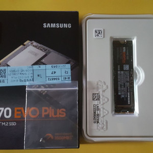 삼성 970 EVO PLUS 500GB