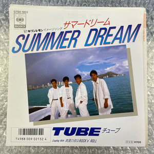 Tube / Summer Dream 7인치 싱글