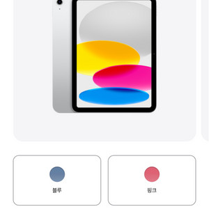 애플 아이패드 10세대 64 256g 구매해요