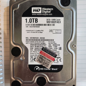 1 TB HDD 3.5인치 WD