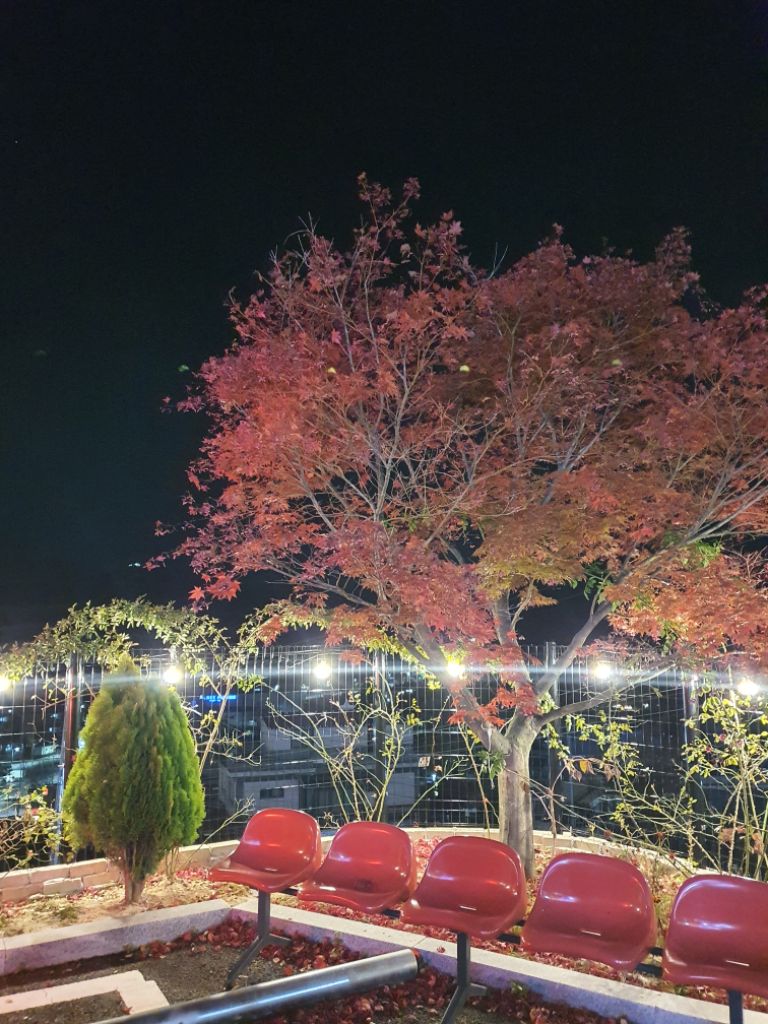 프로파일