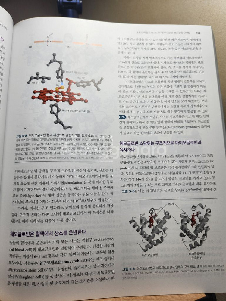레닌저 생화학 상--2