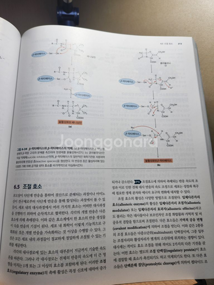 레닌저 생화학 상--1