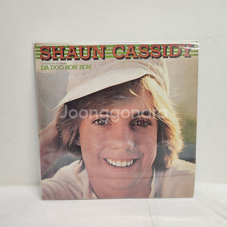 LP SHAUN CASSIDY LP/기타음반 중고나라