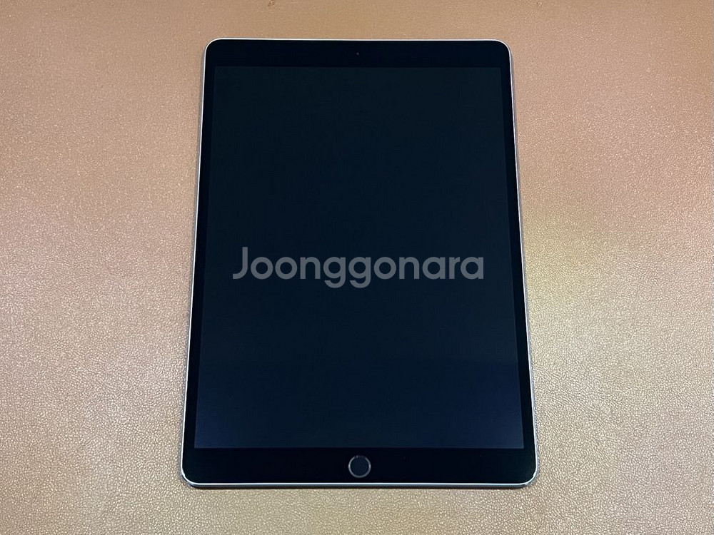 아이패드 프로 10.5 256G--2