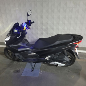 pcx 19년식