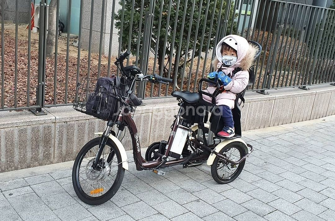 삼천리 삼륜전기자전거 E-로드스타 유아안장 OGK--4