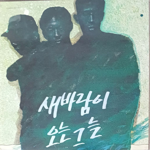 90년 새바람이 오는 그늘 LP 조규찬 참여그룹MINT