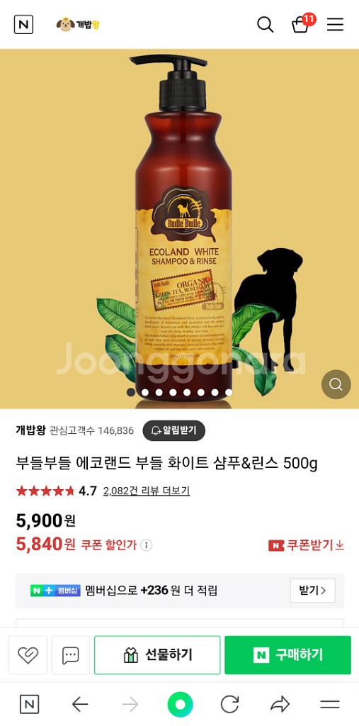 강아지샴푸--1